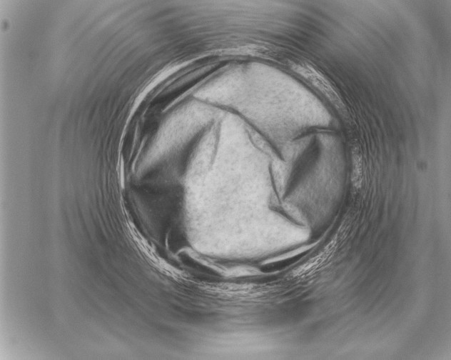 X0000059101036200510281809