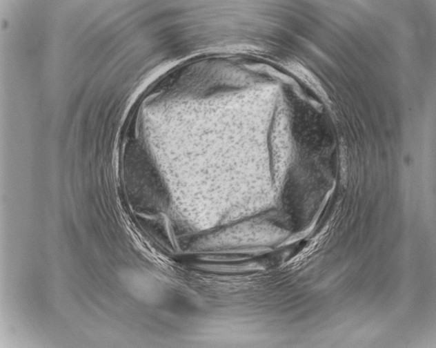 X0000059101044200510281809