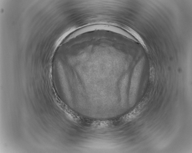 X0000059101051200510281809