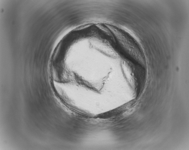 X0000059101056200510281809