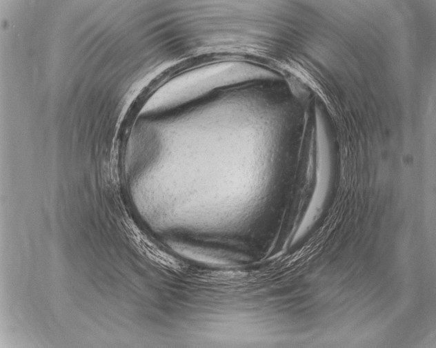 X0000059101068200510281808