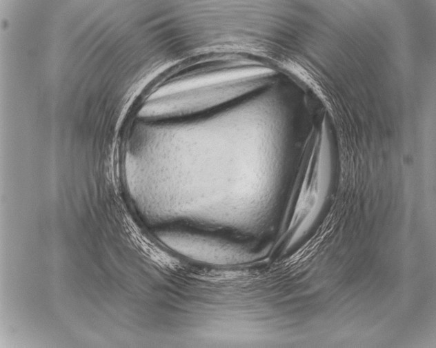 X0000059101076200510281808