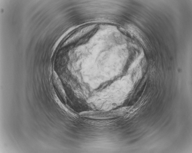 X0000059101092200510281808