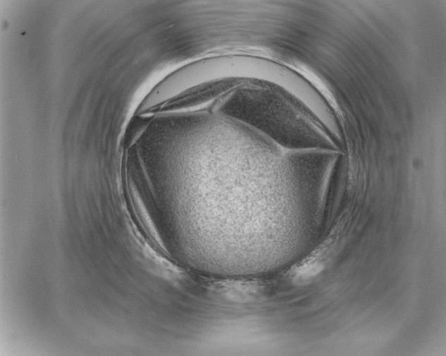 X0000059101102200510281808