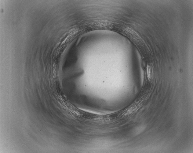 X0000059101107200510281807