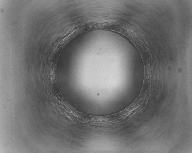 X0000059101109200510281807