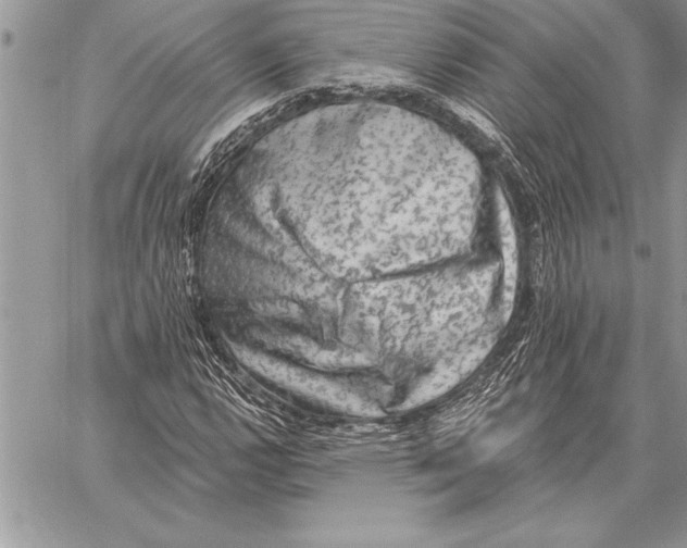 X0000059101112200510281807