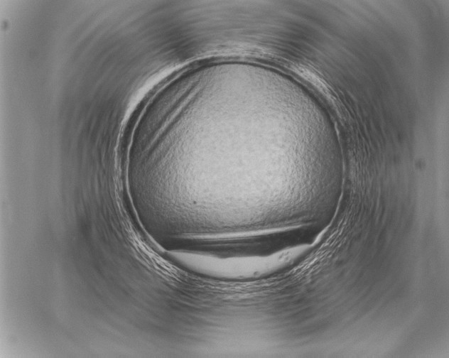X0000059101120200510281807