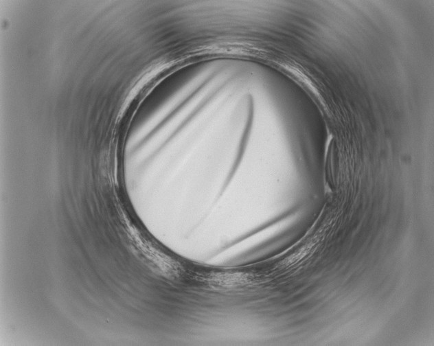 X0000059101131200510281807