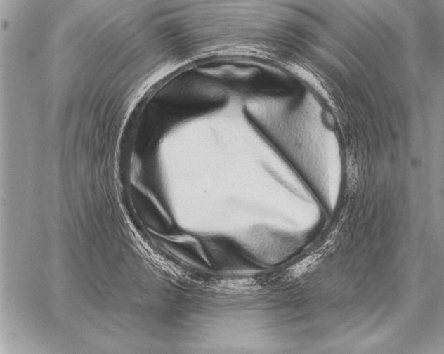X0000059101133200510281807