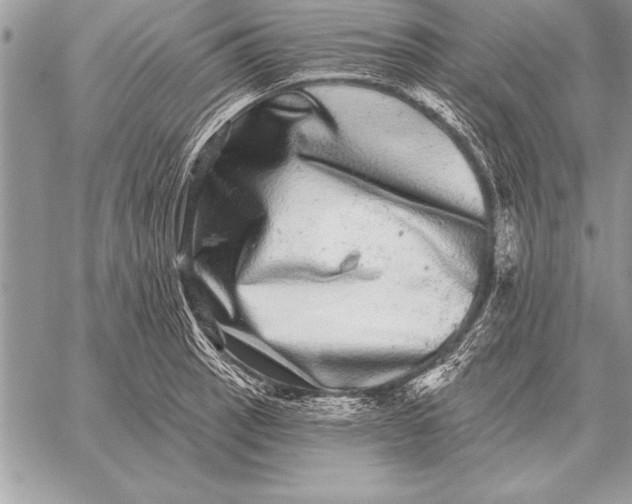 X0000059101137200510281807