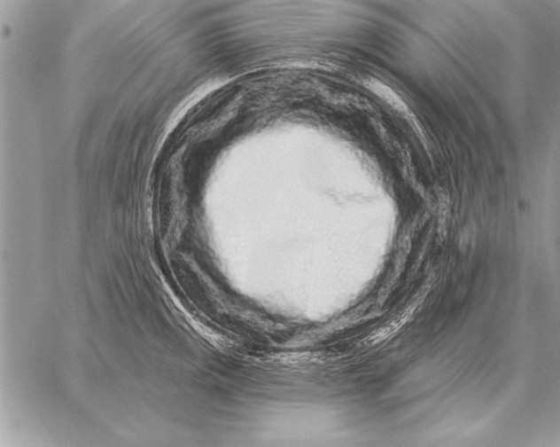 X0000059101141200510281807
