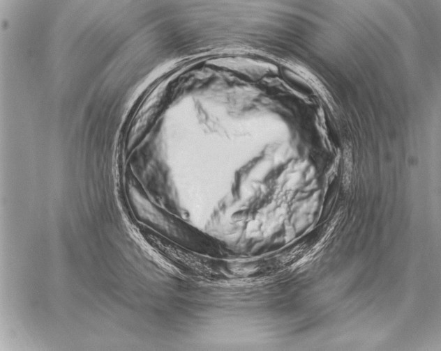 X0000059101142200510281807