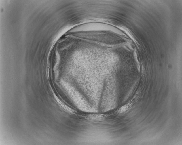 X0000059101143200510281807