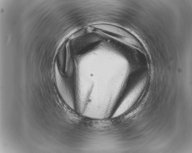 X0000059101145200510281807