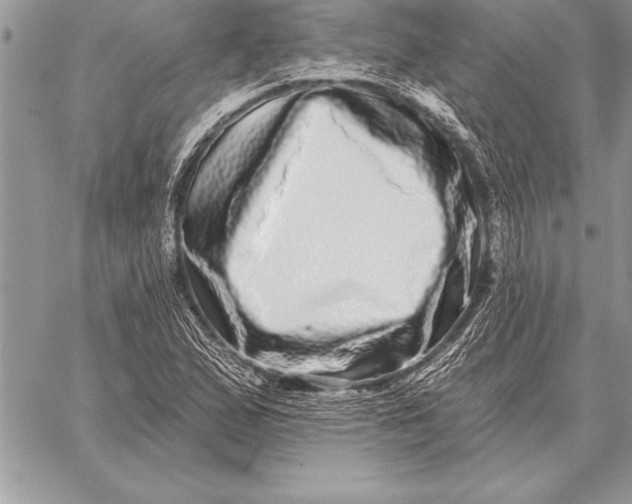 X0000059101167200510281807