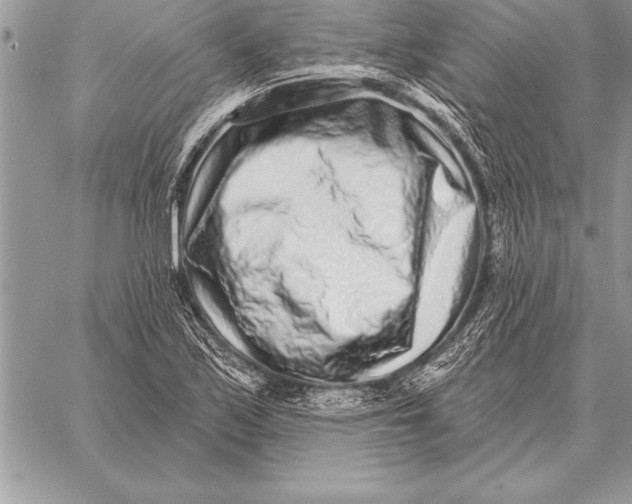 X0000059101171200510281806