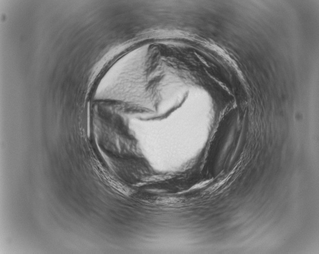 X0000059101175200510281806