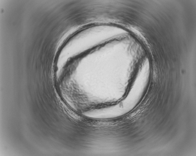 X0000059101183200510281806