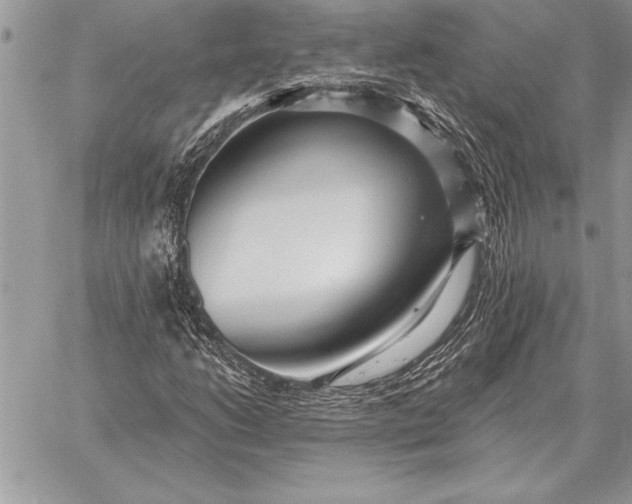 X0000059101206200510281805