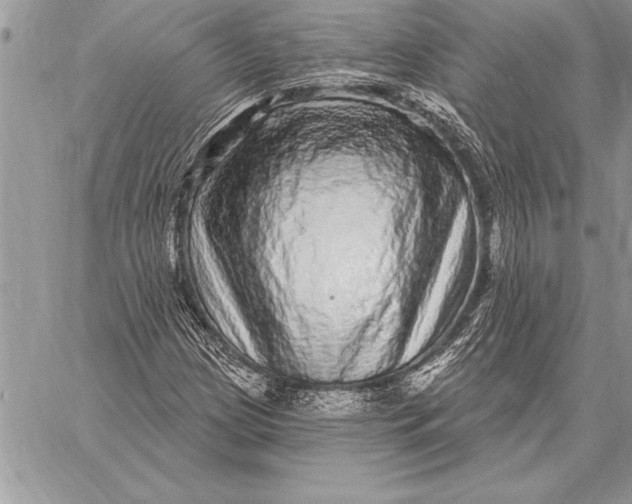 X0000059101209200510281805