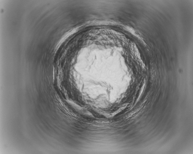 X0000059101221200510281806