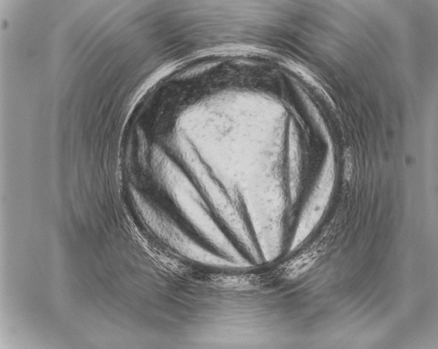 X0000059101229200510281806