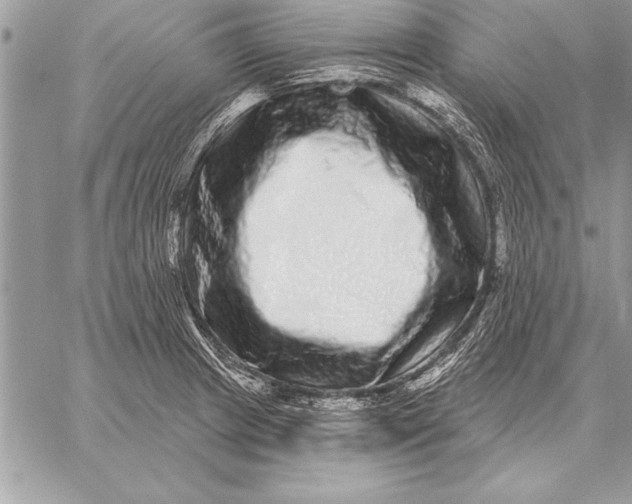 X0000059101233200510281806