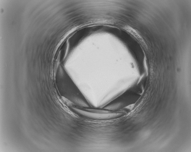 X0000059101236200510281806