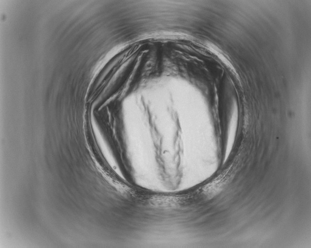 X0000059101237200510281806