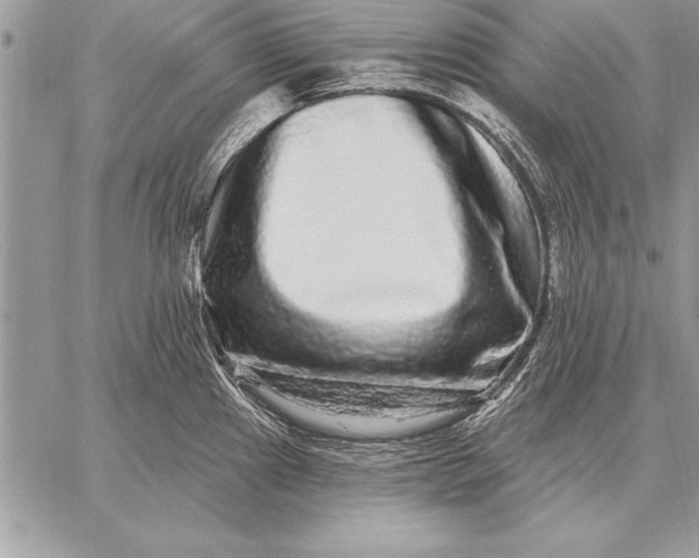 X0000059101241200510281806