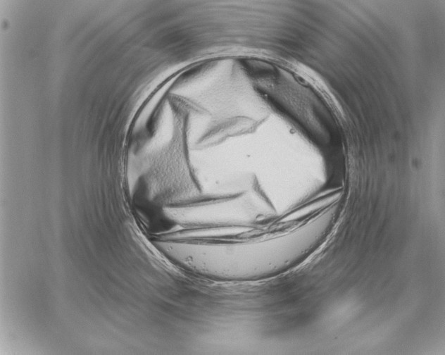 X0000059101244200510281806