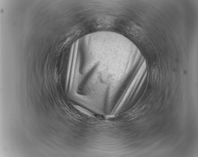 X0000059101250200510281805