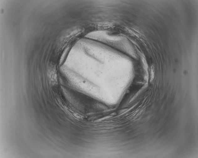 X0000059101252200510281805