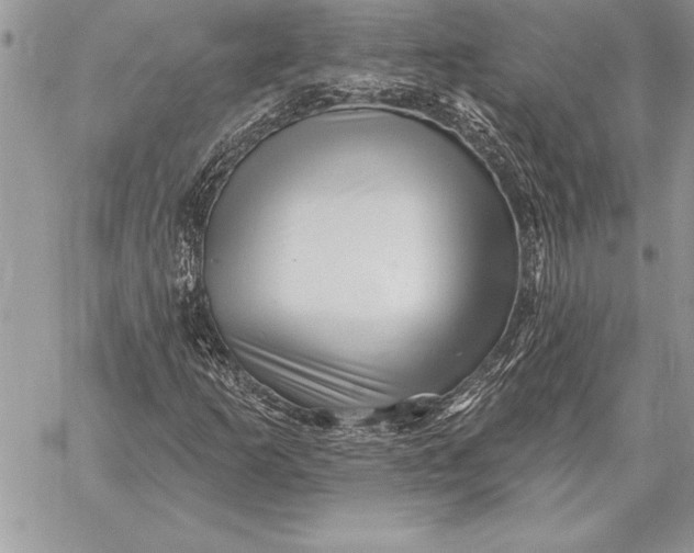 X0000059101253200510281805