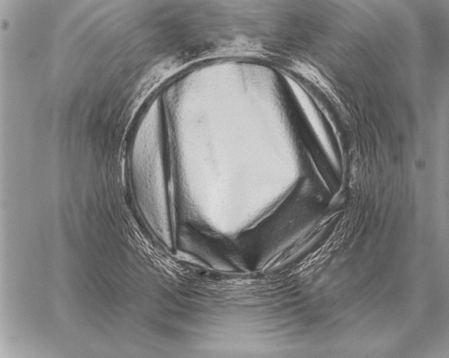 X0000059101268200510281805