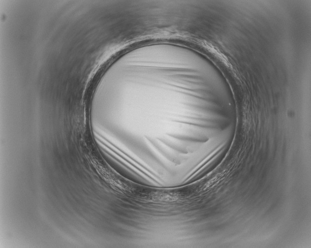 X0000059101270200510281805