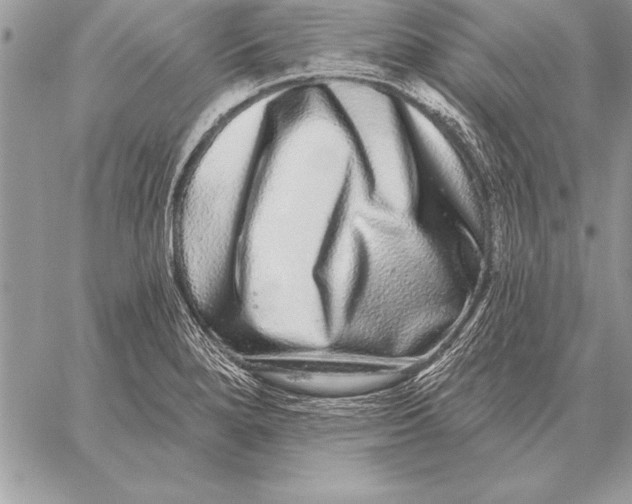 X0000059101280200510281805