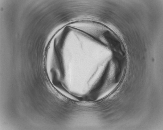 X0000059101296200510281804