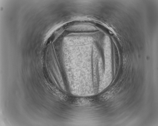 X0000059101311200510281804