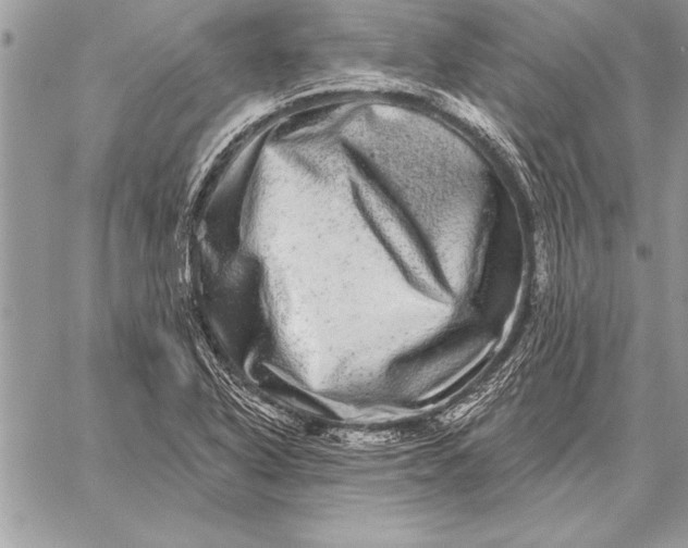 X0000059101318200510281804