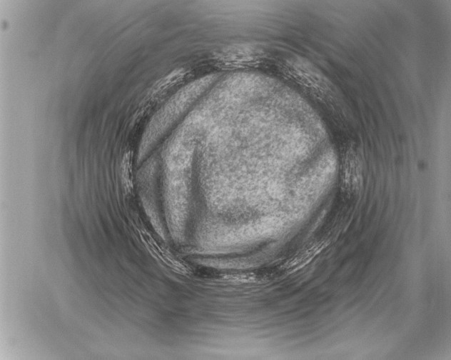 X0000059101346200510281804