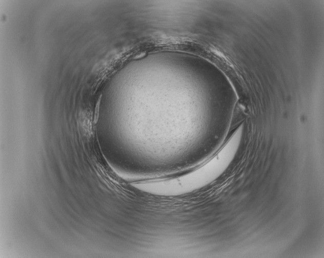 X0000059101348200510281804