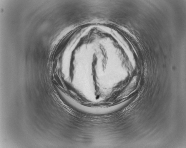 X0000059101367200510281803