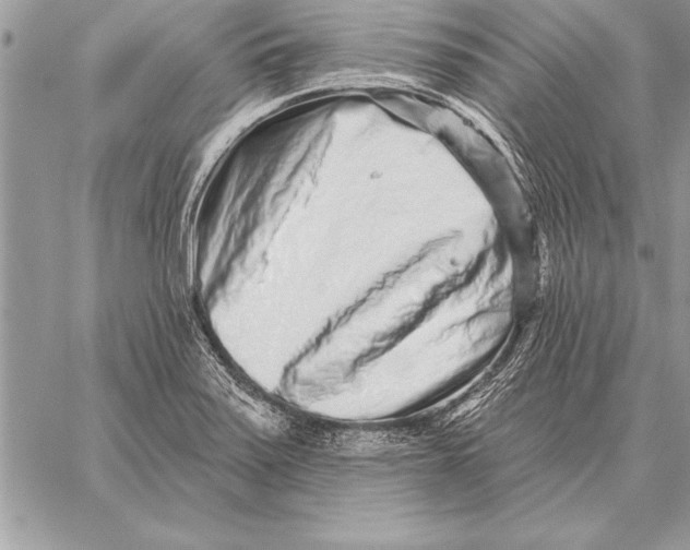 X0000059101371200510281803