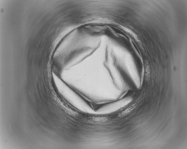 X0000059101375200510281803