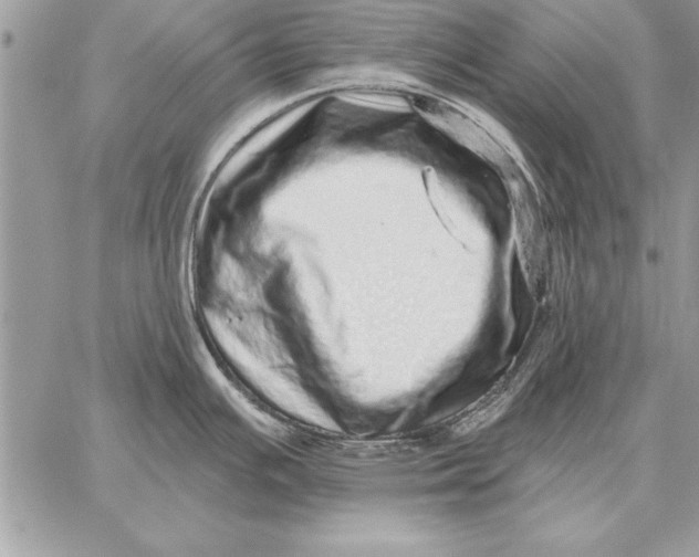 X0000059101391200510281803