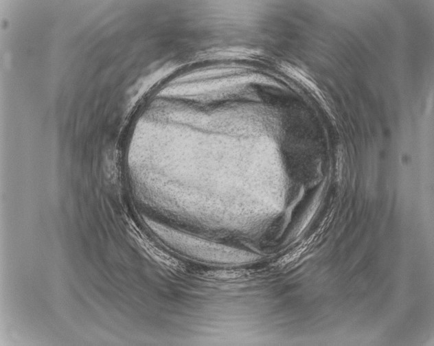 X0000059101404200510281802