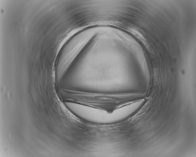 X0000059101428200510281803