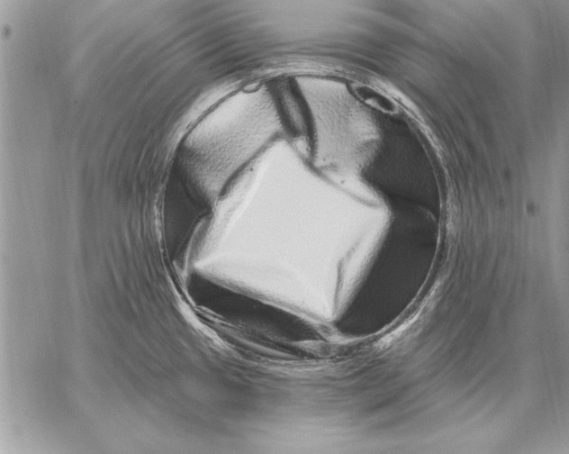 X0000059101433200510281803